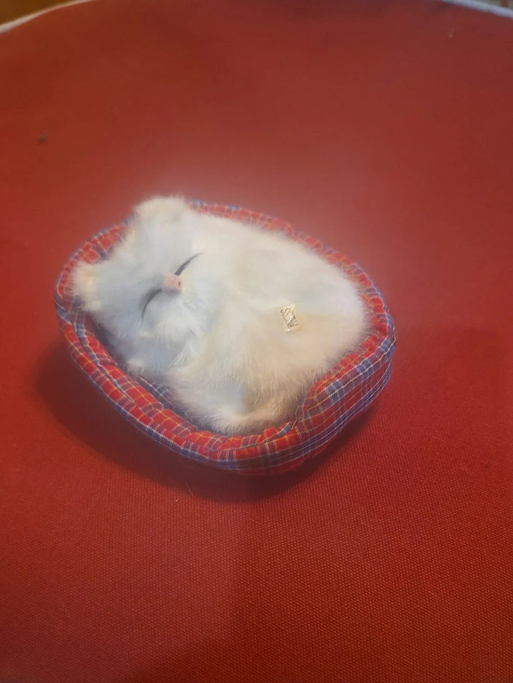 Plush White Sleeping Kitten in Red Plaid Pet Bed - Small Pets
